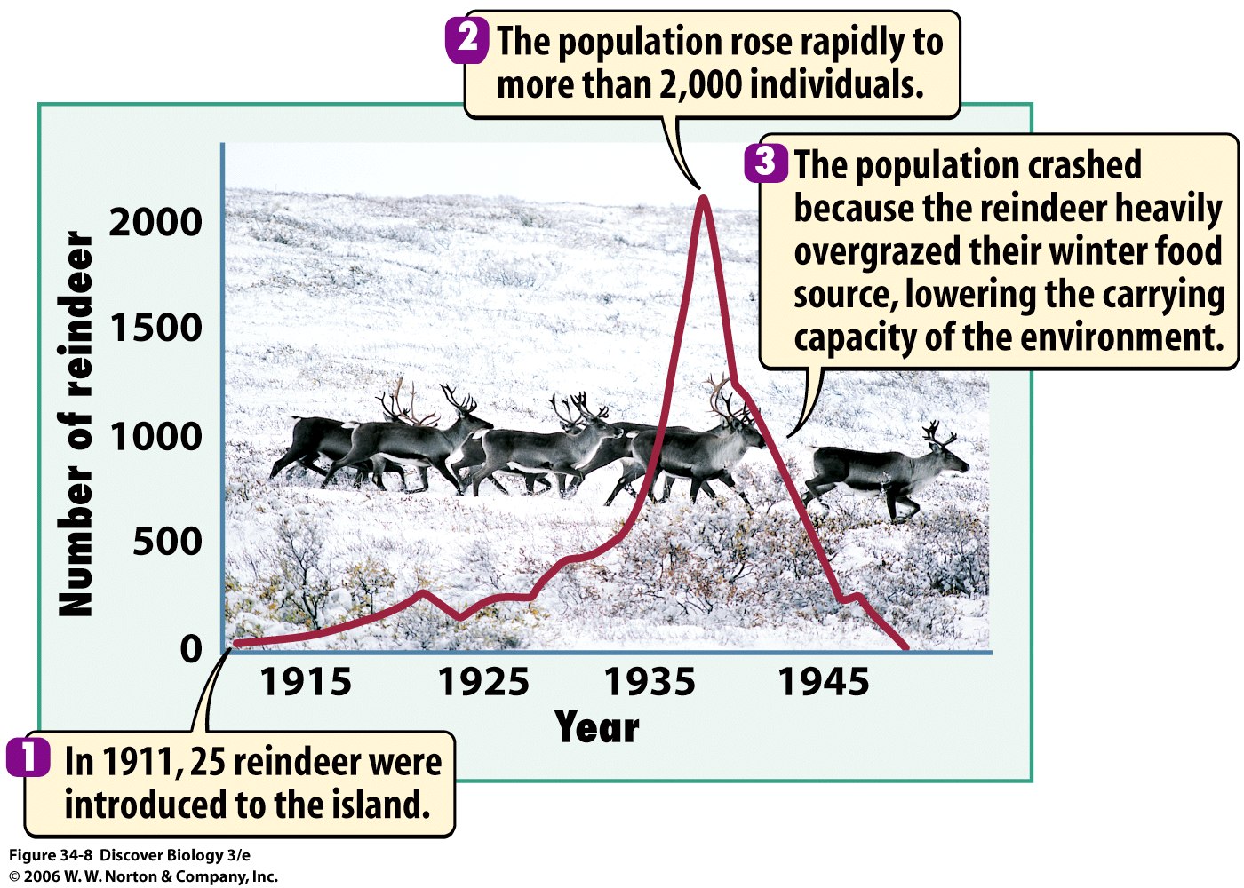 Carrying Capacity Animals